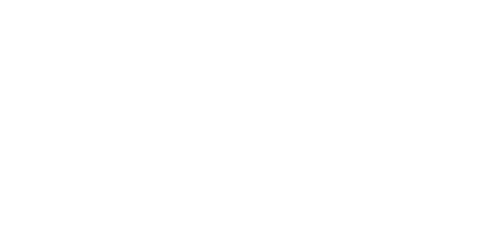 Converge Business School